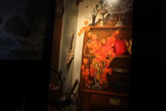 eos_6097_c